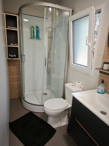 a bathroom with a shower and a toilet and a sink at Borka in Pakoštane