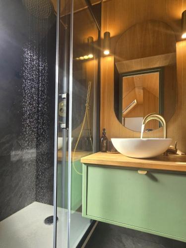 a bathroom with a sink and a shower at Tiny-house PAMPA Lodges au bord de l'eau in Étival-lès-Le Mans