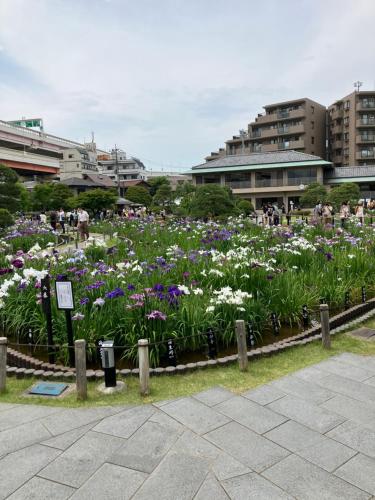 Realization INN Horikiri