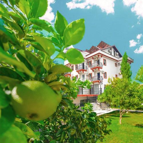 a large white house with an apple tree in front of it at Casa De Levıssı Ölüdeniz in Oludeniz