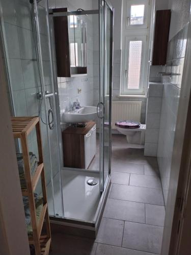 a bathroom with a shower and a sink and a toilet at Ferienwohnung in Fürstenberg an der Havel in Fürstenberg-Havel