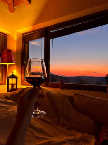 a person holding a glass of wine in front of a window at Veranda Villa in Arachova