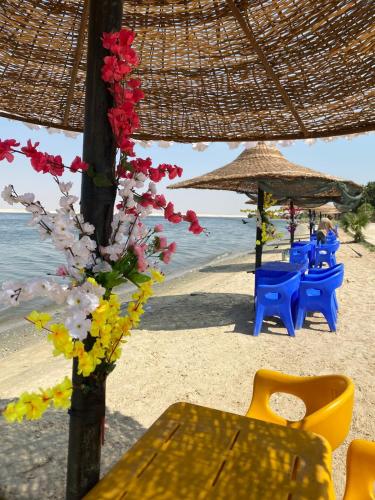 Φυσικό τοπίο κοντά σε αυτό το διαμέρισμα