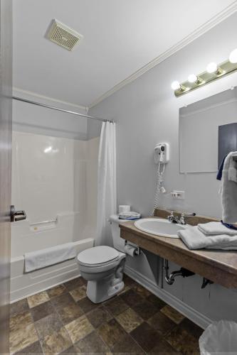 a bathroom with a toilet and a sink and a mirror at Bayview Inn in Bay Roberts