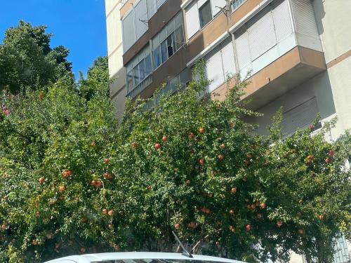 Το κτήριο όπου στεγάζεται  το διαμέρισμα