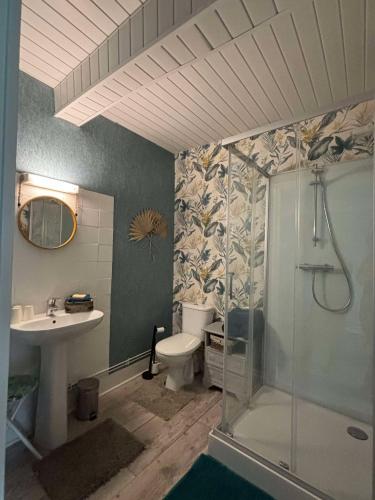 a bathroom with a shower and a toilet and a sink at LA MONGEARDIERE in Ay