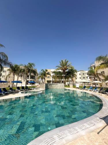 a large swimming pool with blue chairs and palm trees at Modern Penthouse Overlooking Pool in Pyla