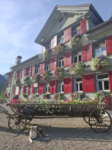 a cat sitting in front of a building with flowers at Landhaus Bad Hopfreben in Schoppernau
