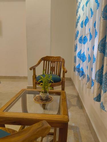 a table and a chair with a potted plant on it at Rising Shemesh Home Stay in Udaipur