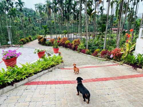 a dog standing on a brick walkway in a garden at Palms by Kalpana in Mudigere