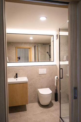 a bathroom with a toilet and a sink and a mirror at Pálavské Apartmány Original s vířivkou a výhledem na jezero in Pavlov