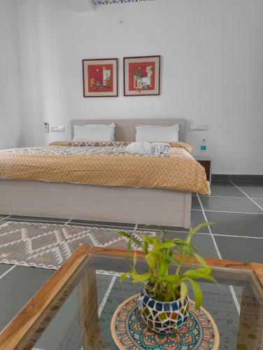 a bedroom with a bed and a potted plant at Rising Shemesh Home Stay in Udaipur