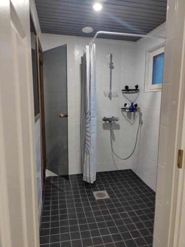 a bathroom with a shower and a sink at Kodikas talo lammen rannalla in Raahe