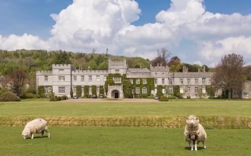two sheep standing in the grass in front of a castle at West Dean College in West Dean