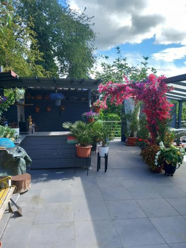 a patio with potted plants and a flower shop at Cozy room with a beautiful garden view in Baunatal