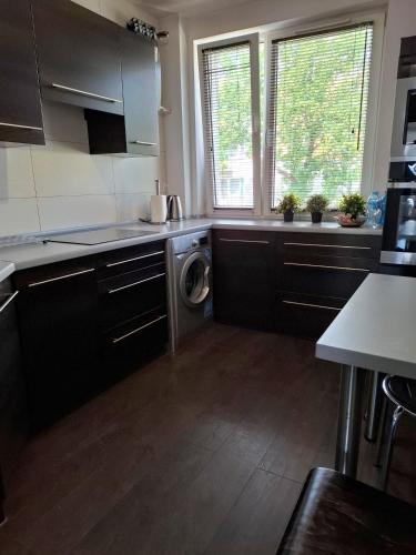 a kitchen with a sink and a washing machine at Alma Apartments Starachowice in Starachowice
