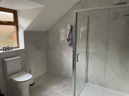 a bathroom with a shower and a toilet at Church Bray View, Dunfanaghy in Dunfanaghy