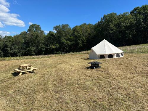 a tent and a picnic table in a field at Fredericksburg PA Farm Stay 