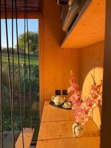 Zenbox Satori - the place to ease your mind