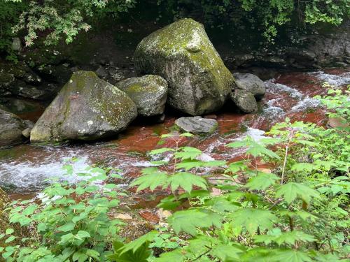 a group of rocks in a stream of water at Yama no Yado Meiji Onsen in Chino