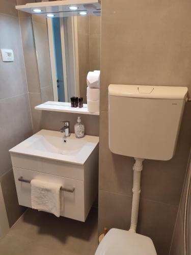 a bathroom with a toilet and a sink and a mirror at Beach Villa Selce in Selce