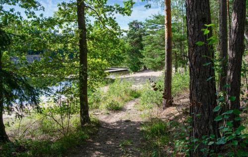 a dirt trail through the woods next to a body of water at Nice Apartment In Saltsjö Boo With House A Panoramic View in Kummelnäs