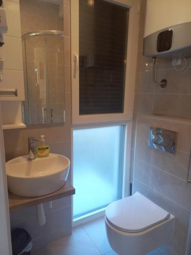 Un baño con un inodoro blanco y un lavabo. en Apartman Miloš, en Divčibare
