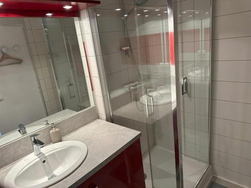 Un baño con lavabo y ducha de cristal. en Bel appartement spacieux , lumineux, proche Dijon centre auditorium, en Dijon
