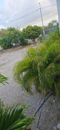 Relex appartement