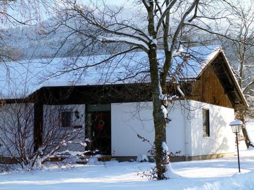 Ferienhaus Wieselweg im Feriendorf Reichenbach 6 v zimě