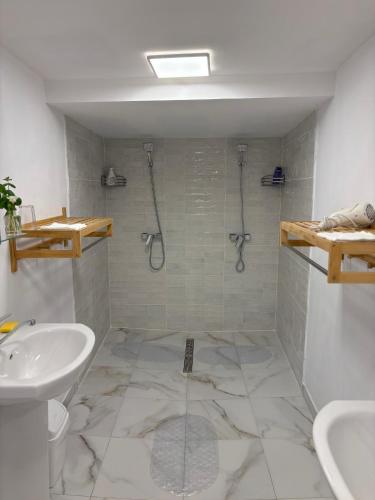 a bathroom with a sink and a shower and a toilet at La Palma Cave Historic Stone Apartment in Old Town Cluj in Cluj-Napoca