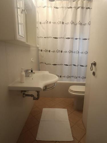 a bathroom with a sink and a toilet and a shower curtain at house Cicognola offers comfort and convenience between Lake Maggiore, Malpensa Airport, Novara, Varese and Milan in Castelletto sopra Ticino