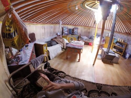 Ruang duduk di Live like a Mongolian Nomad