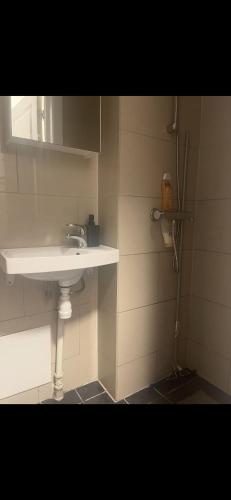 a bathroom with a sink and a shower at Joy Vulcan Center apartment in Oslo