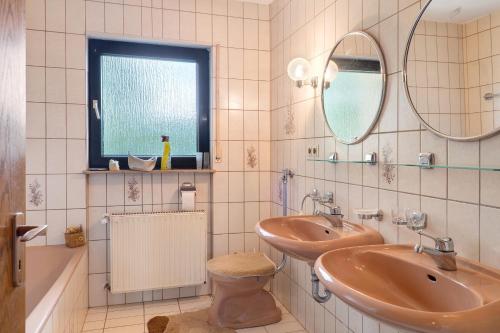 a bathroom with a sink and a toilet and a mirror at Ferienwohnung Waidbachhof in Sinsheim