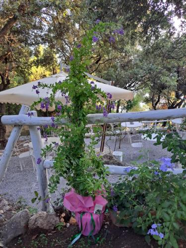 Giardino di Bed and Breakfast Tenuta Palmieri ONLY ADULT