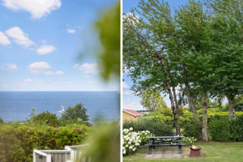 a picnic table and a tree and the ocean at 6619-Allinge-Markvejen-45 in Allinge