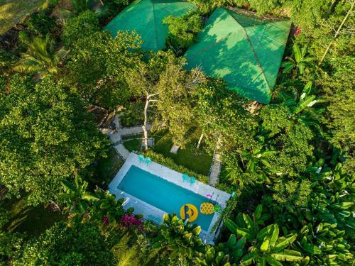 an overhead view of a swimming pool in a forest at 2 Magical Villas with Yoga Shala up to 23 guests in Patos