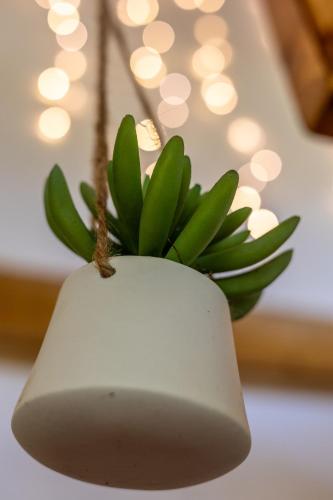 a green plant in a white vase with lights at 2 Magical Villas with Yoga Shala up to 23 guests in Patos