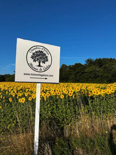 a sign in front of a field of sunflowers at Maison La Galeze 