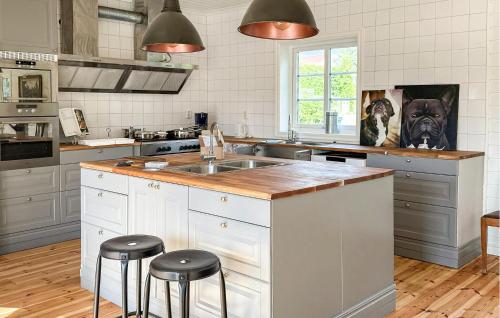 a kitchen with a sink and a dog picture on the wall at Beautiful Home In Tranås With Sauna in Tranås