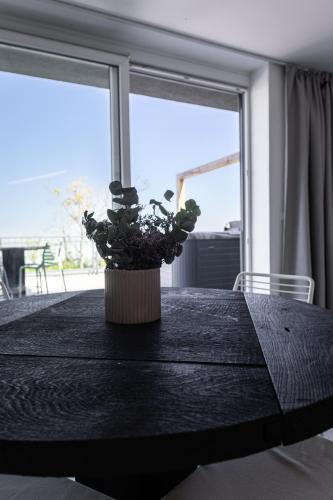 a table with a vase with a plant on it at Pálavské Apartmány Original s vířivkou a výhledem na jezero in Pavlov