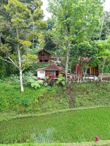 a house on a hill with trees and a yard at Azhani Bungalow in Tetebatu