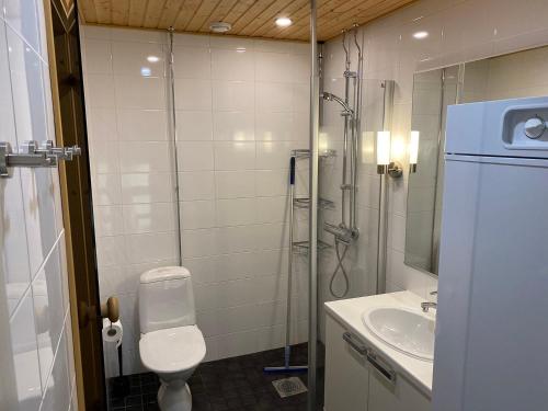 a bathroom with a shower and a toilet and a sink at Levi Chalets 1508 Visit Levi in Levi