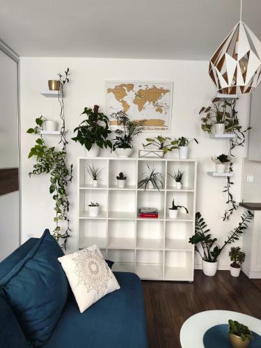 a living room filled with lots of potted plants at Nono's Flat in Szombathely