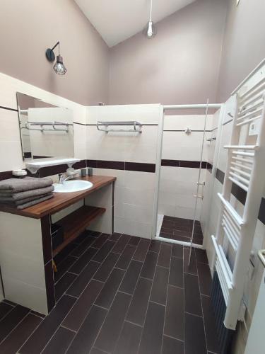 a bathroom with a sink and a shower at Gite Les Brugues - Lisle sur Tarn in Lisle-sur-Tarn