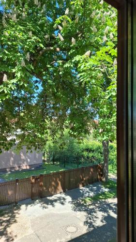Κήπος έξω από το Gemütliches 1-Zimmer-Appartment mit Balkon
