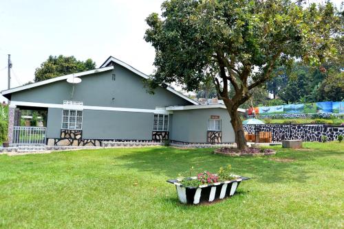 a house with a tree and a flower pot in the grass at Aida's Gardens And Mable's Kitchen Entebbe in Entebbe