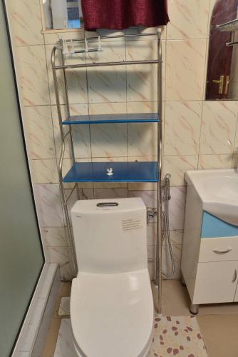 a bathroom with a white toilet and a sink at Aida's Gardens And Mable's Kitchen Entebbe in Entebbe
