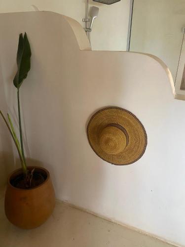 a plant in a pot next to a wall at Oasis beach resort in Cape Coast